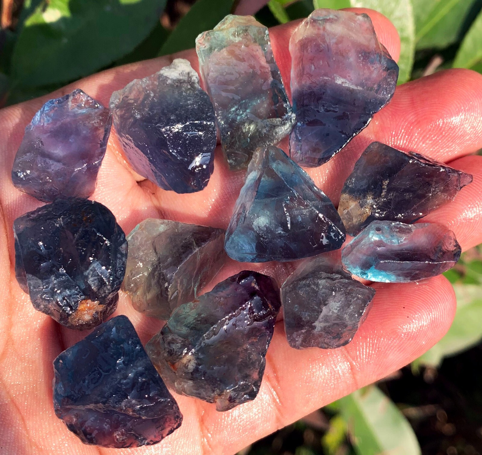87g 12PC TOP! Natural Fantastic Blue Fluorite Crystal Specimen ic012