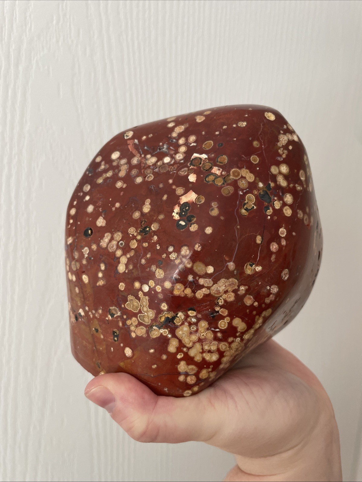 LARGE Red orbicular Jasper / 3056g / Hand Carved And Polished / Cabochon
