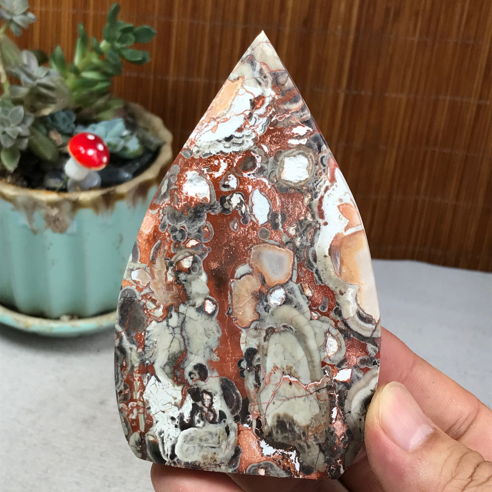 Natural money Mexico agate hand carve leaf Crystal Specimen free standing A6260
