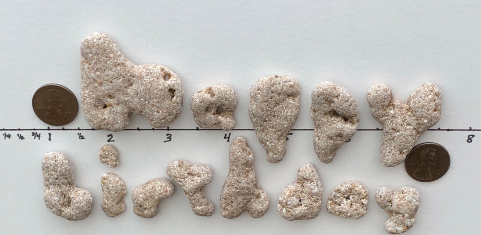HAPPY BIRTHDAY Beach Stones Letter Rocks Natural Shaped Word Sign Text gift hag