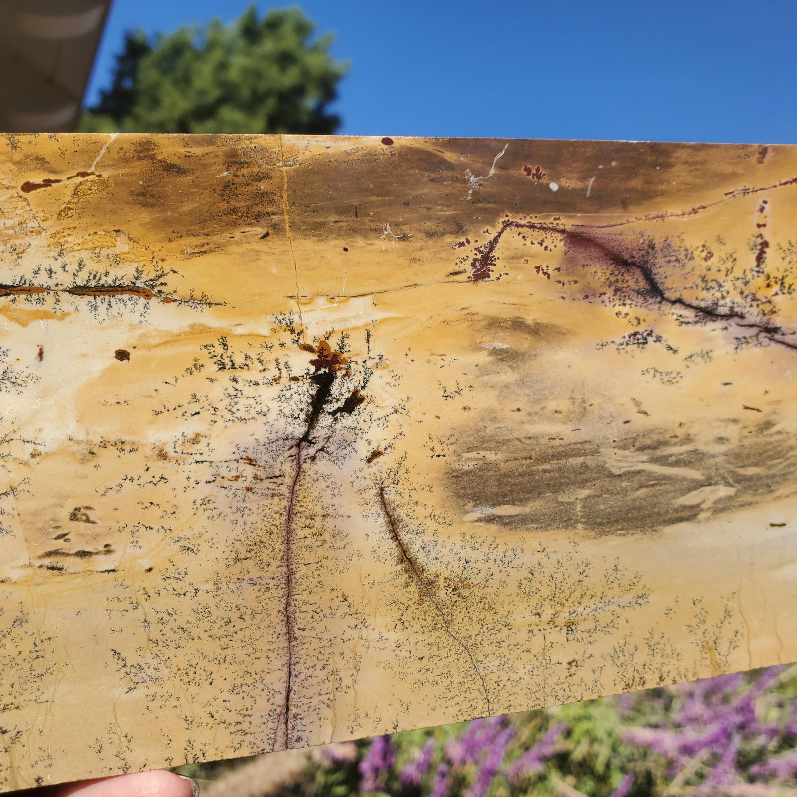 Picture Story Jasper Pastel Dendritic Display Crystal Tile Slab 918 grams