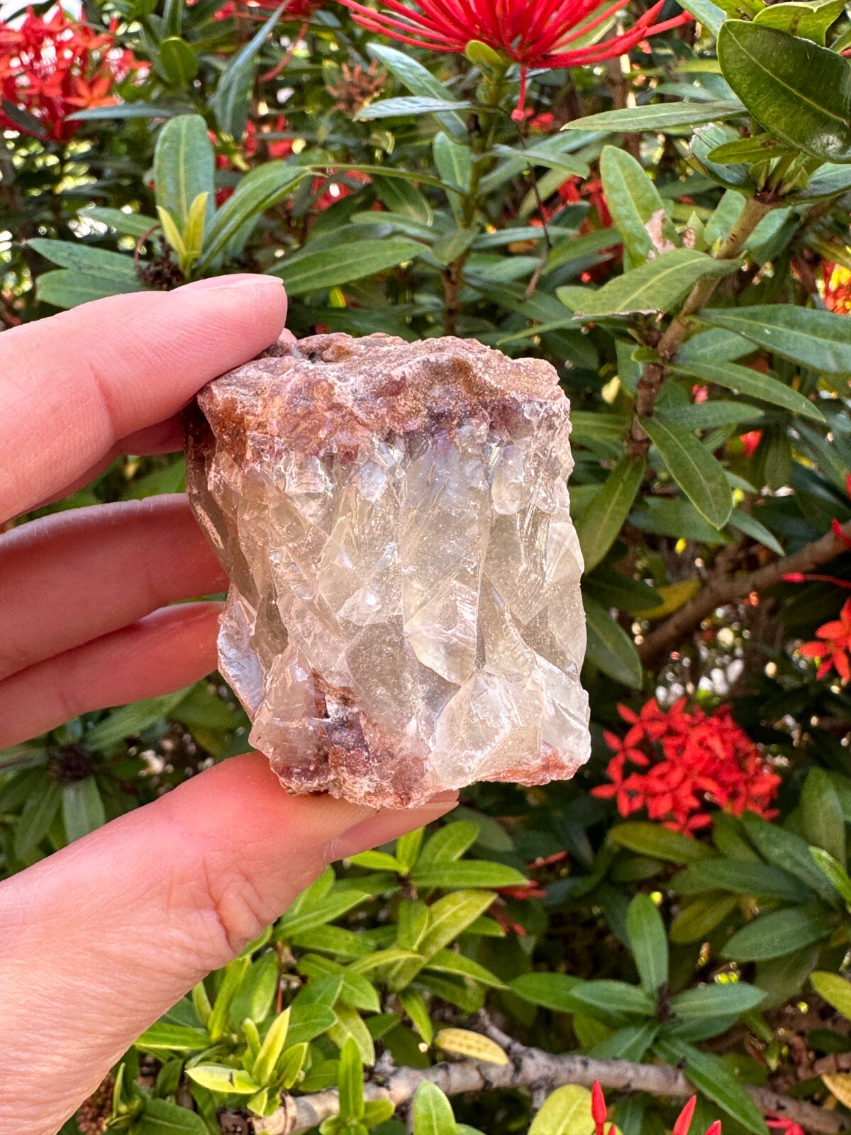 Grade A++ Red/Brown Calcite Rough Natural Stones, 1.5-2.5″ Raw Calcite Red/Brown