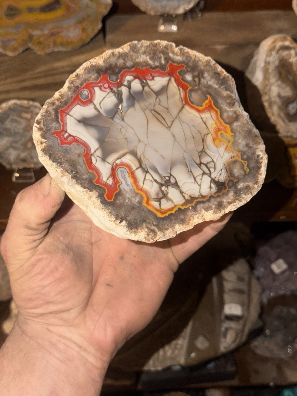 LARGE 1LB 12OZ Fire Kentucky Agate With Dark Fracture Lines Brilliant Contrast