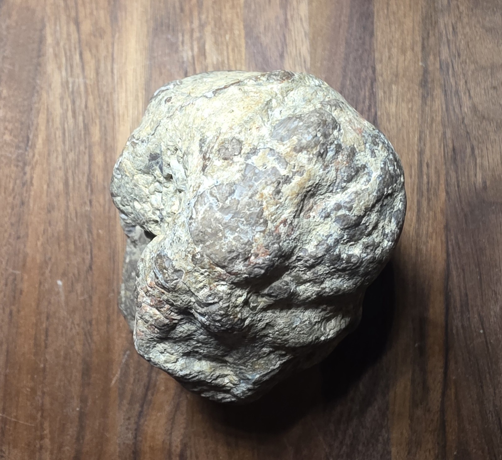 Impressive Large Kentucky Agate Display Specimen with Sugar Druzy Interior#S-27