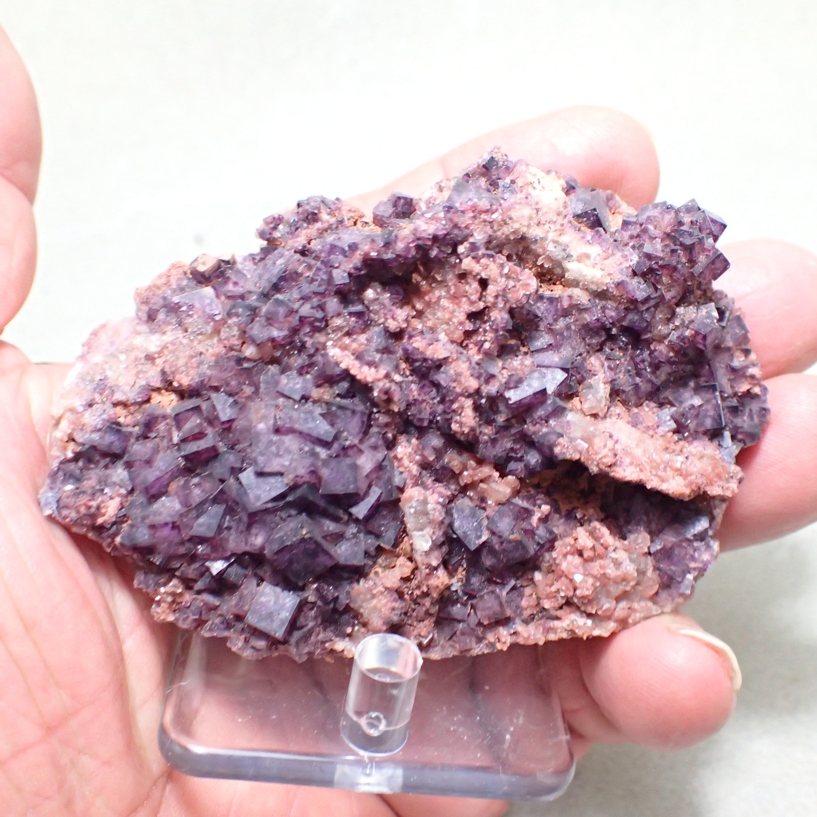 Fluorite, Vrchoslav Fluorite Deposit, Krupka, Czech Republic
