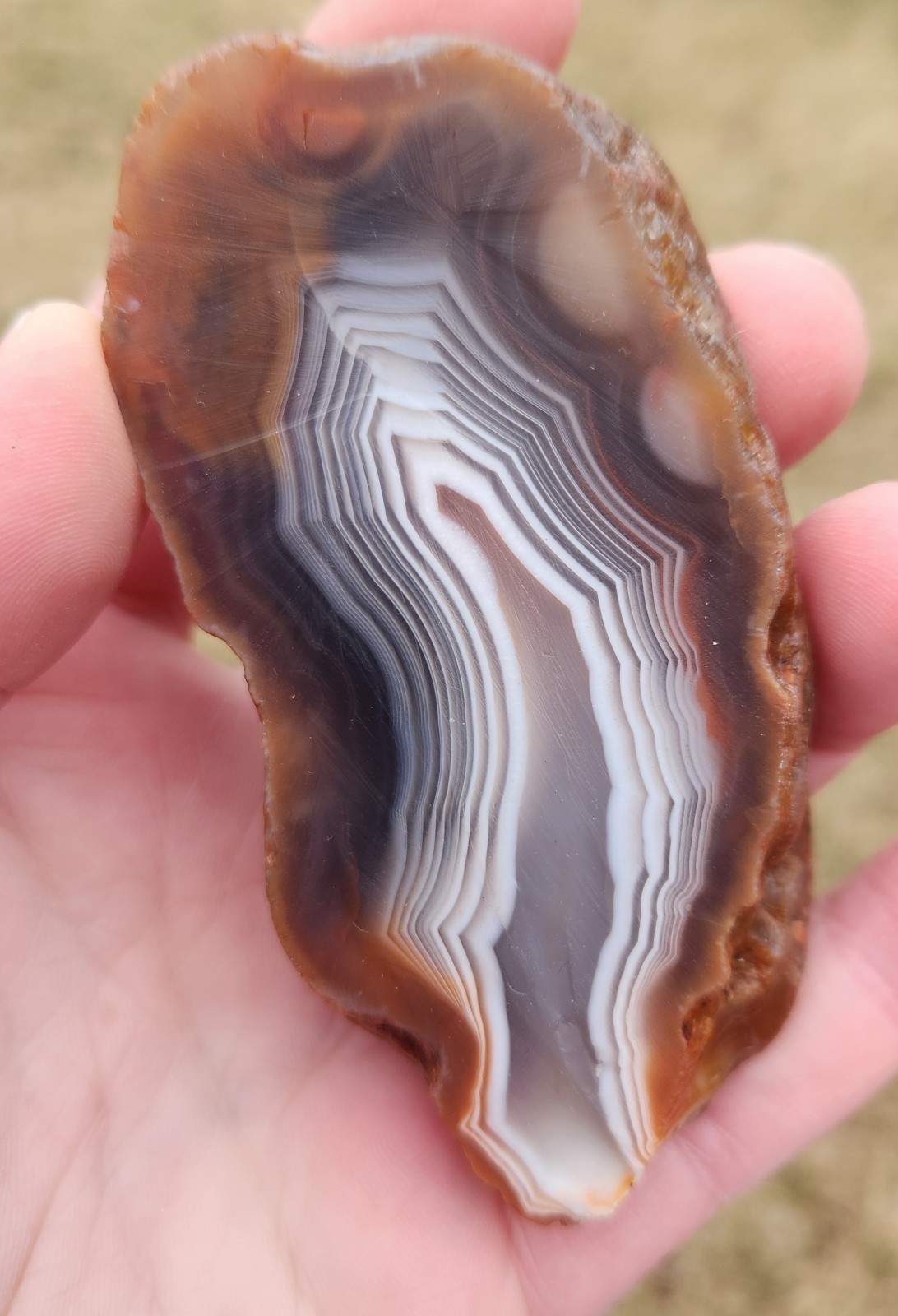 Lake Superior Agate 7.8 Oz Cut Not Polished Pair