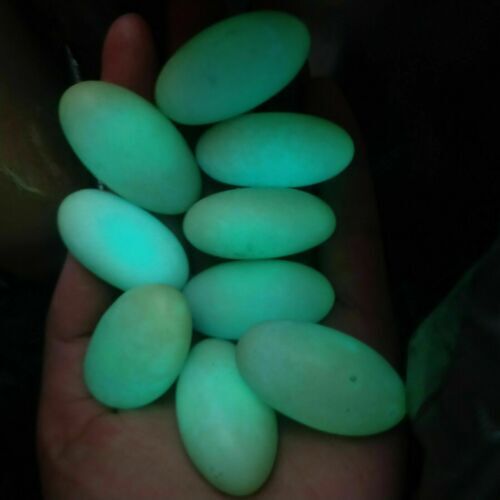 1pcs Glow In The Dark Tibetan Wealth God Ancient Luminous Egg Stone Old Dzi Bead