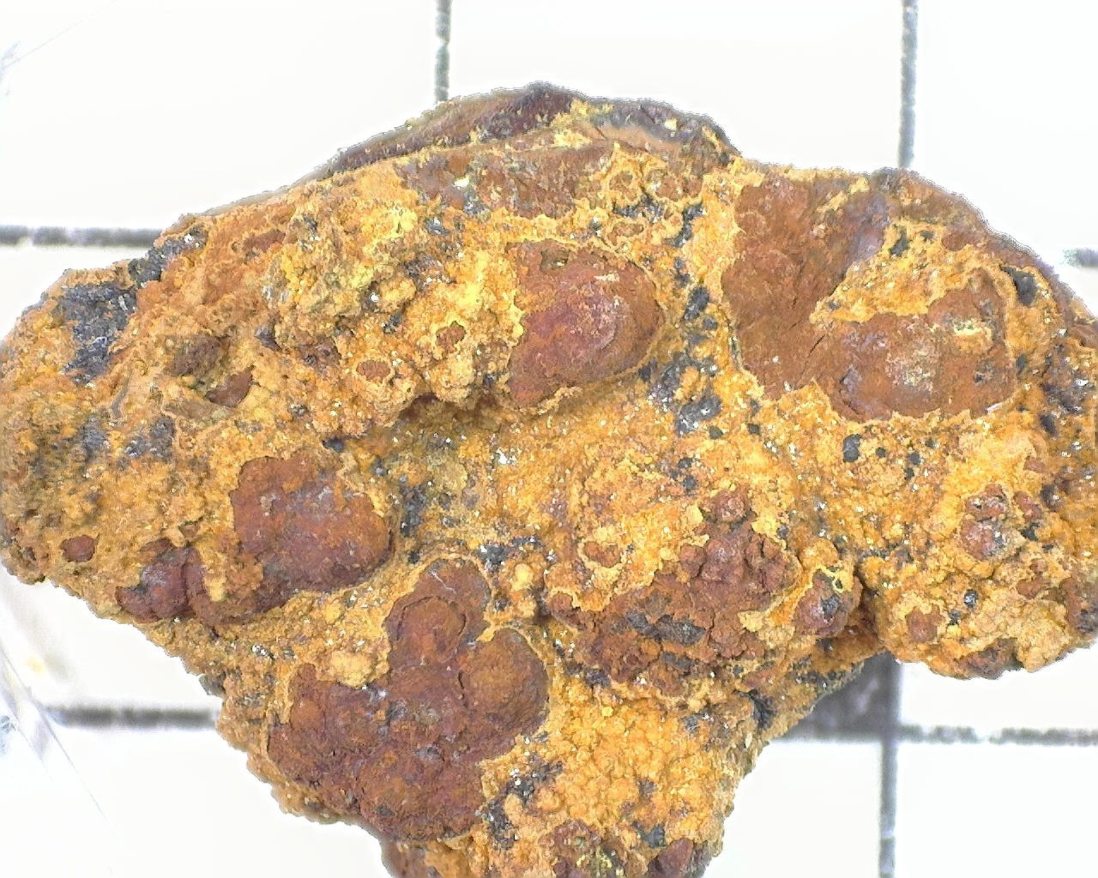 20042 MM Arseniosiderite Mina Ojuela Mapimi Mexico 2318