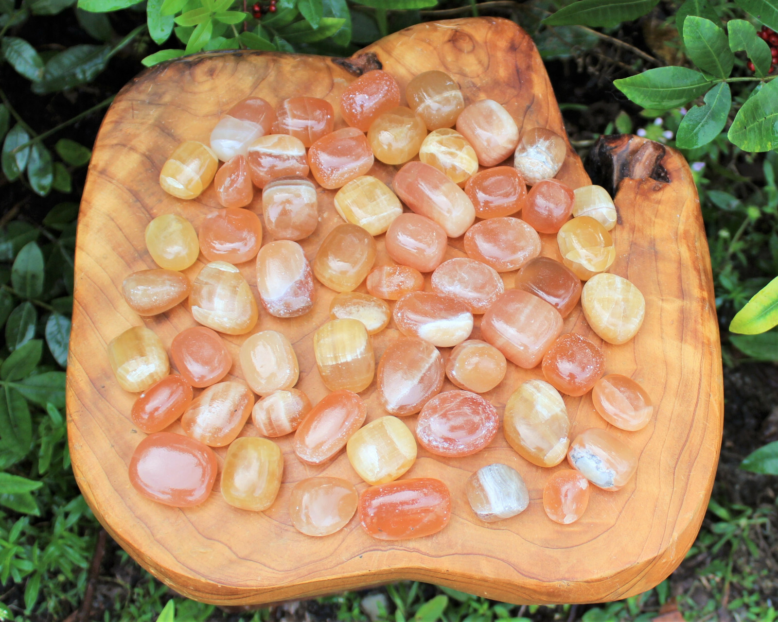 Honey Calcite Tumbled Stones: Choose Ounces or lb Bulk Wholesale Lots (A Grade)