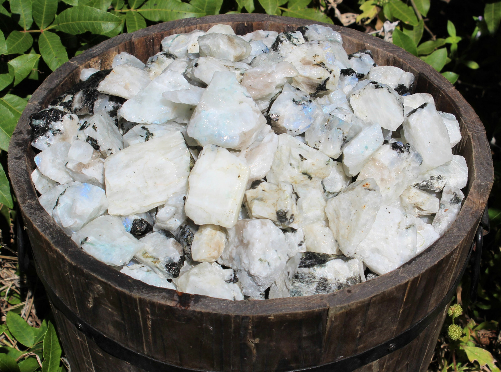 500 Carat Lot Natural Rough Rainbow Moonstone Crystals (Raw Stone, 100 Grams)