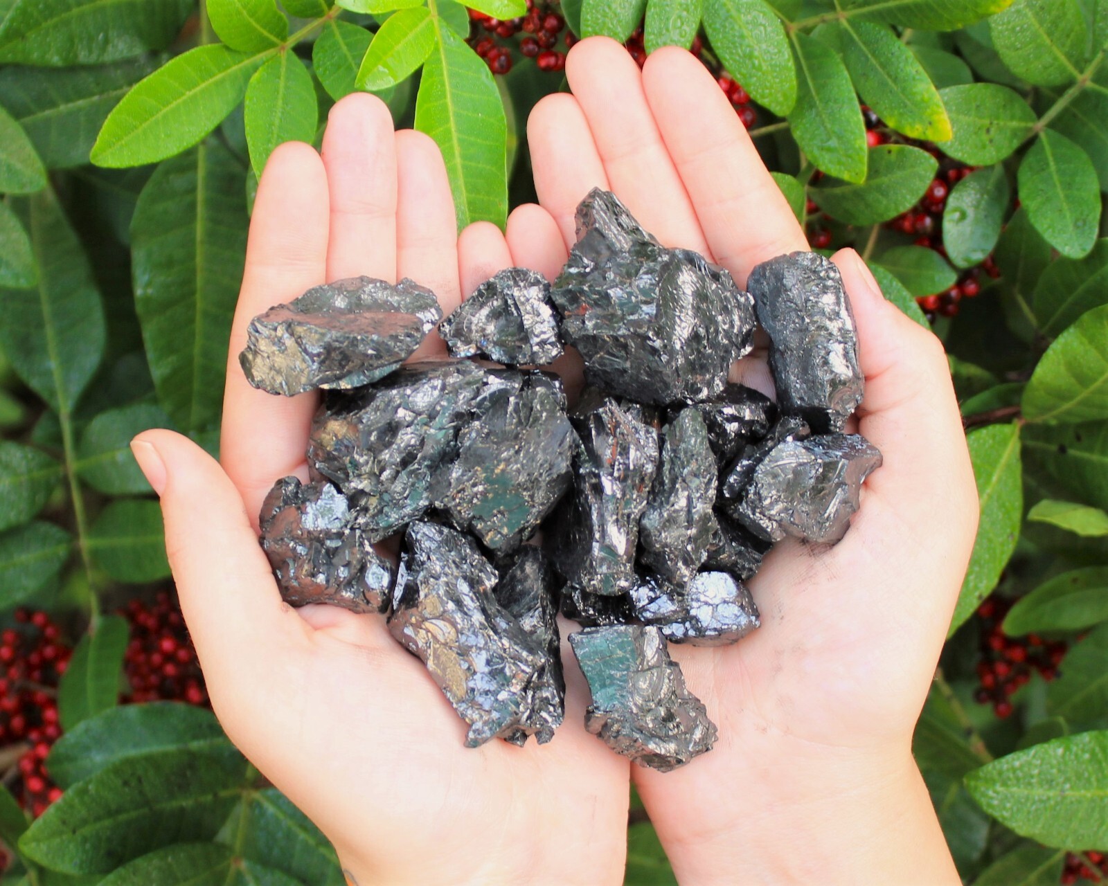 Elite Shungite Wholesale Lots – Natural Noble Shungite Crystals (EMF Protection)