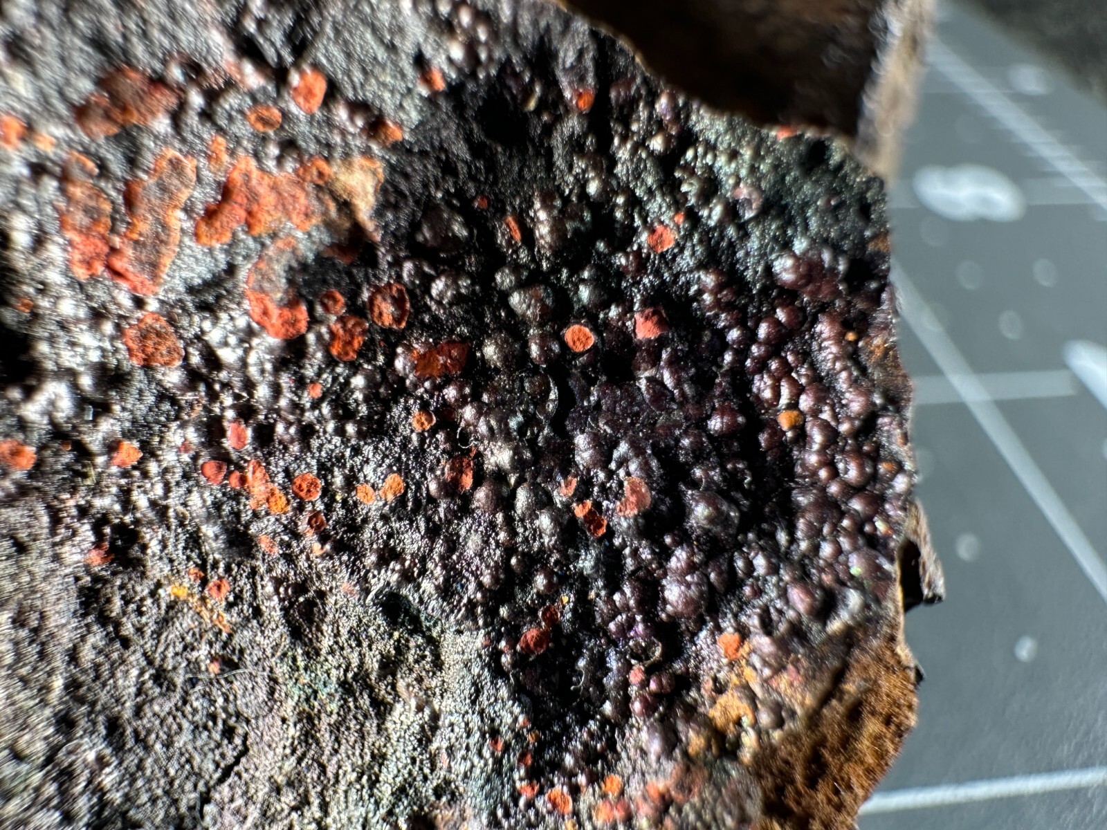 ➤8 PC LOT – Malachite-Azurite-Barite-Hematite-No ID Rutile?- GRAPHIC MINE NM➤882