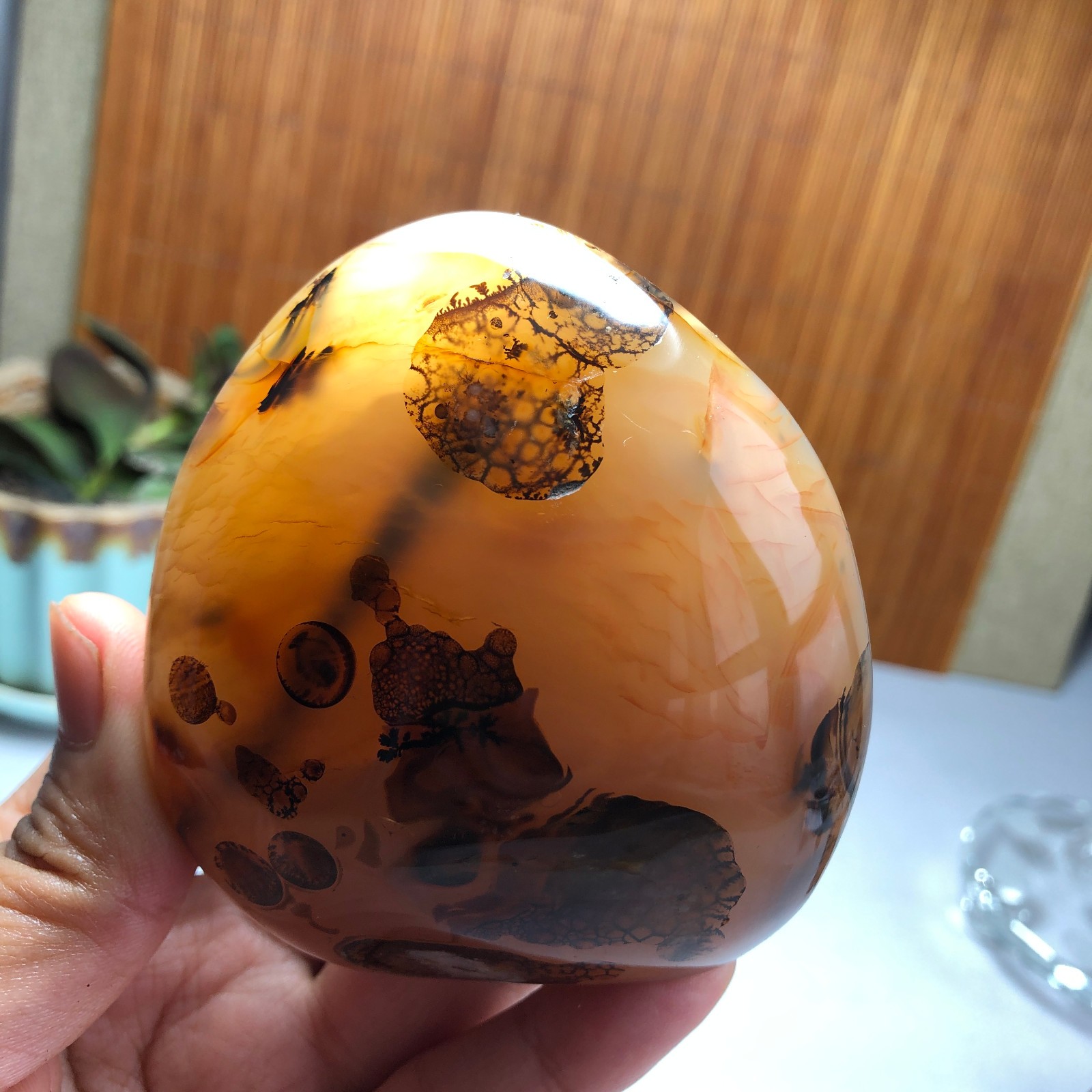 Natural aquatic plants agate pretty Crystal specimens free standing 331g A9998