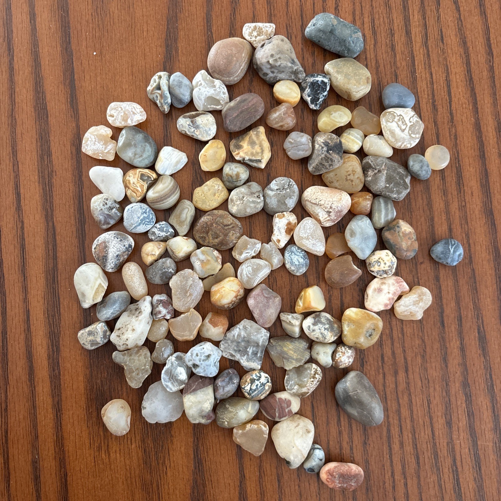 Lot of 1 pound Prair Agates Wyoming- South Dakota Banding Not Polished