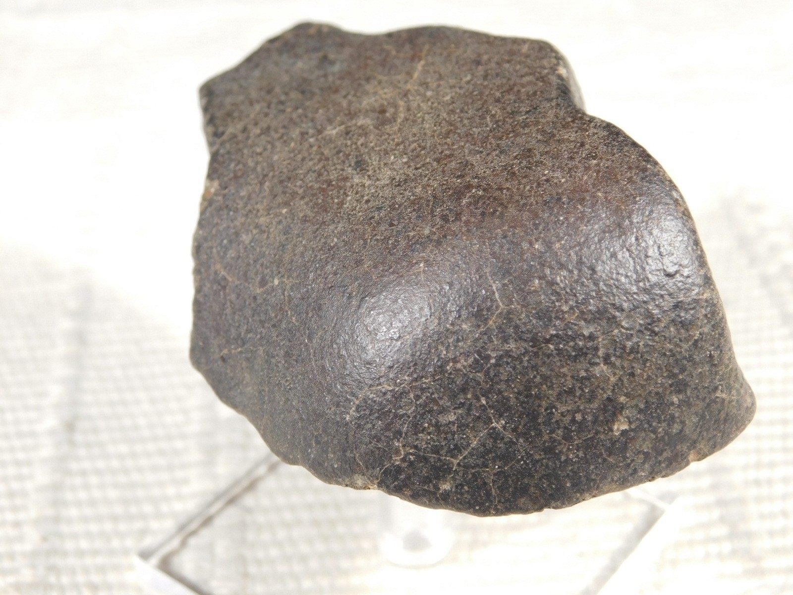 wOw! Larger! Stony METEORITE with DARK Silky Fusion Crust! FELL in Libya 219gr