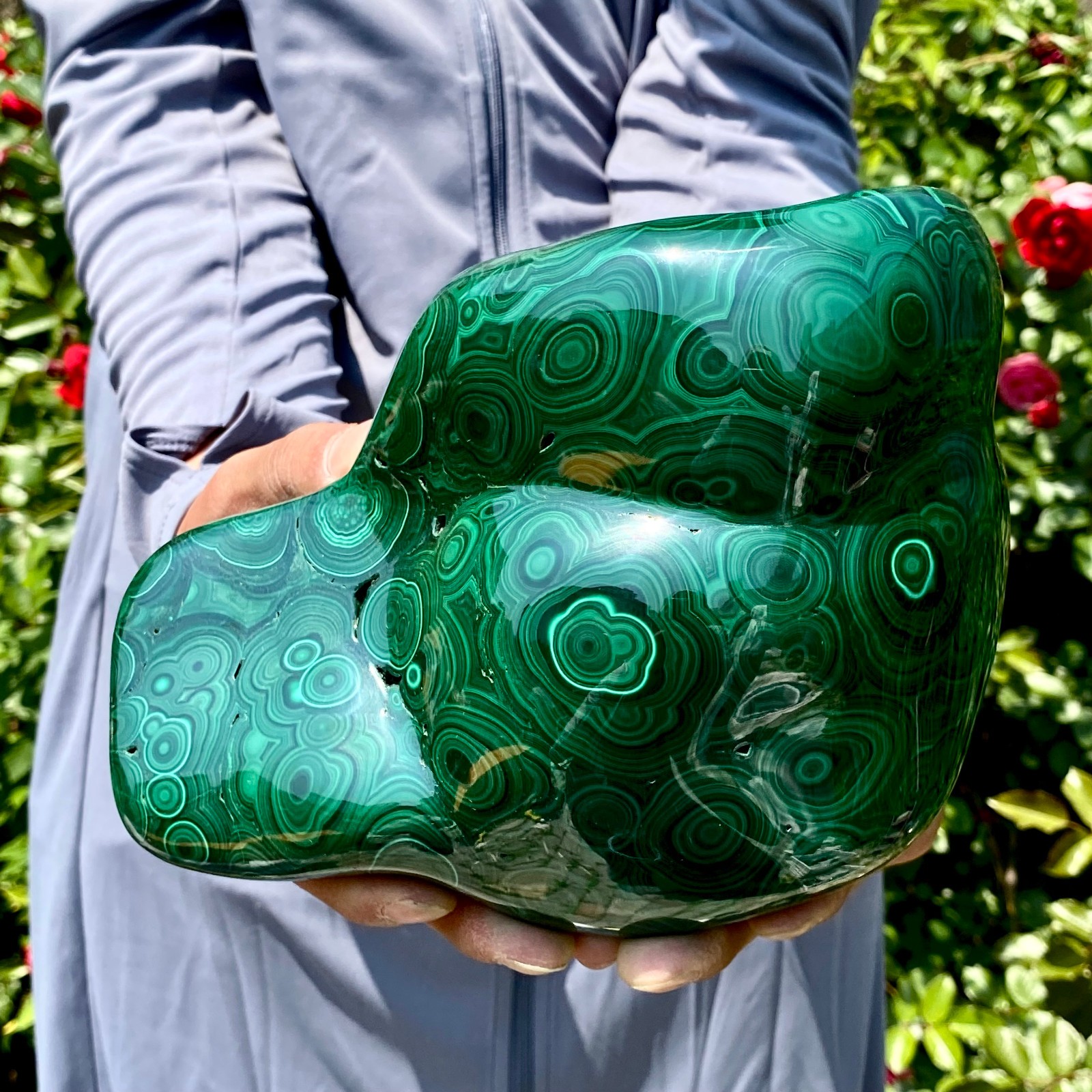 8.5LB Natural glossy Malachite egg transparent cluster rough mineral sample