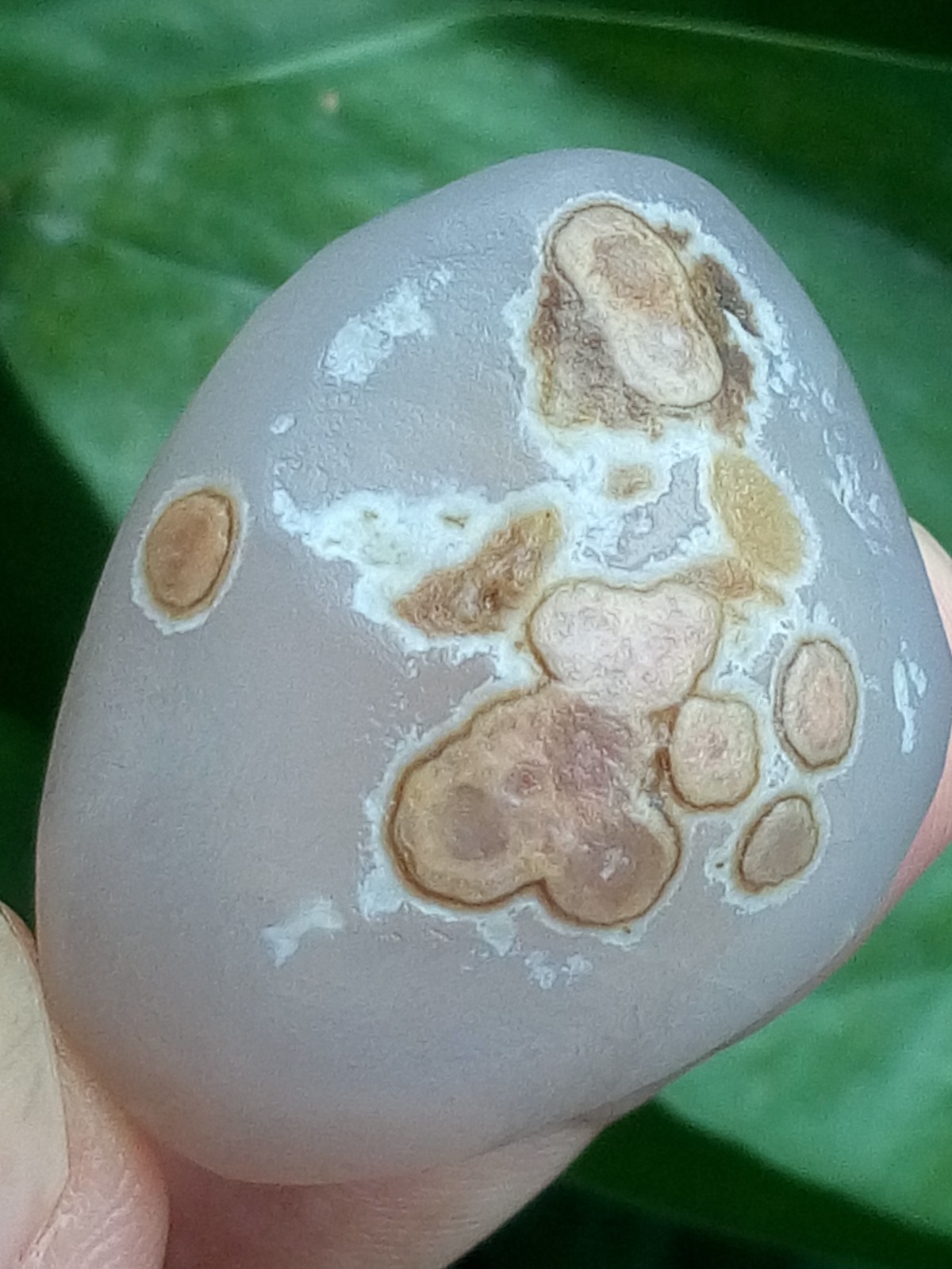 36mm Natural GoBi agate eye agate stone Polishing collection