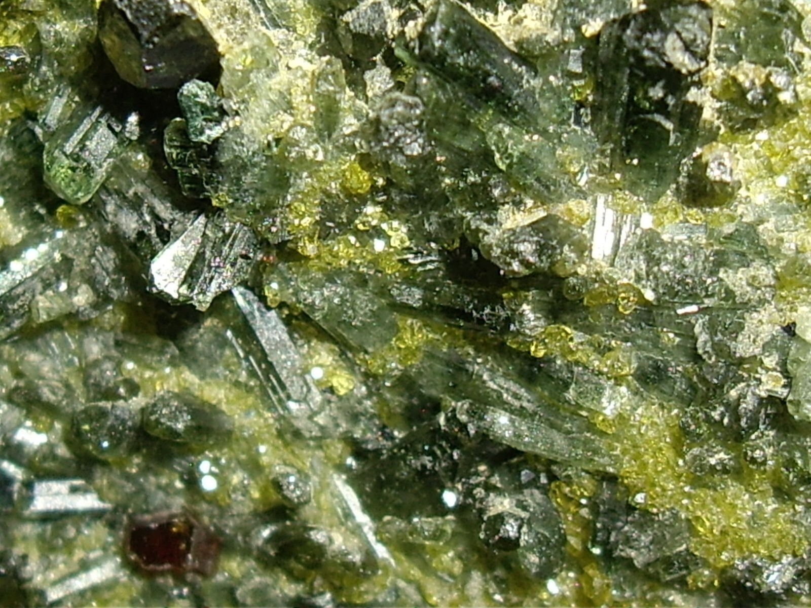 Awesome Magnetite, Vesuvianite, Garnet, and Diopside Crystals on Matrix 23.3g