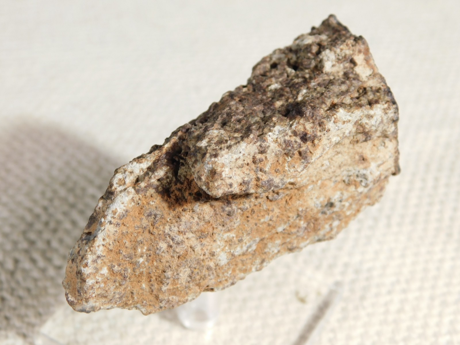 Classified NWA 8245 METEORITE Spots of Dark Fusion Crust! Erfoud, Morocco 136gr