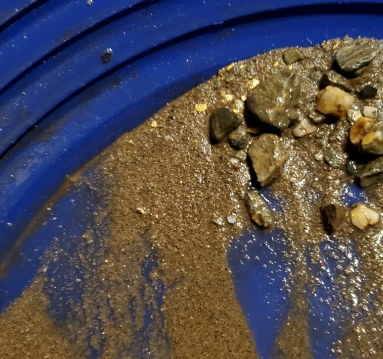 1 GRAM BONUS NUGGETS California Gold Panning Paydirt Trommel Concentrates
