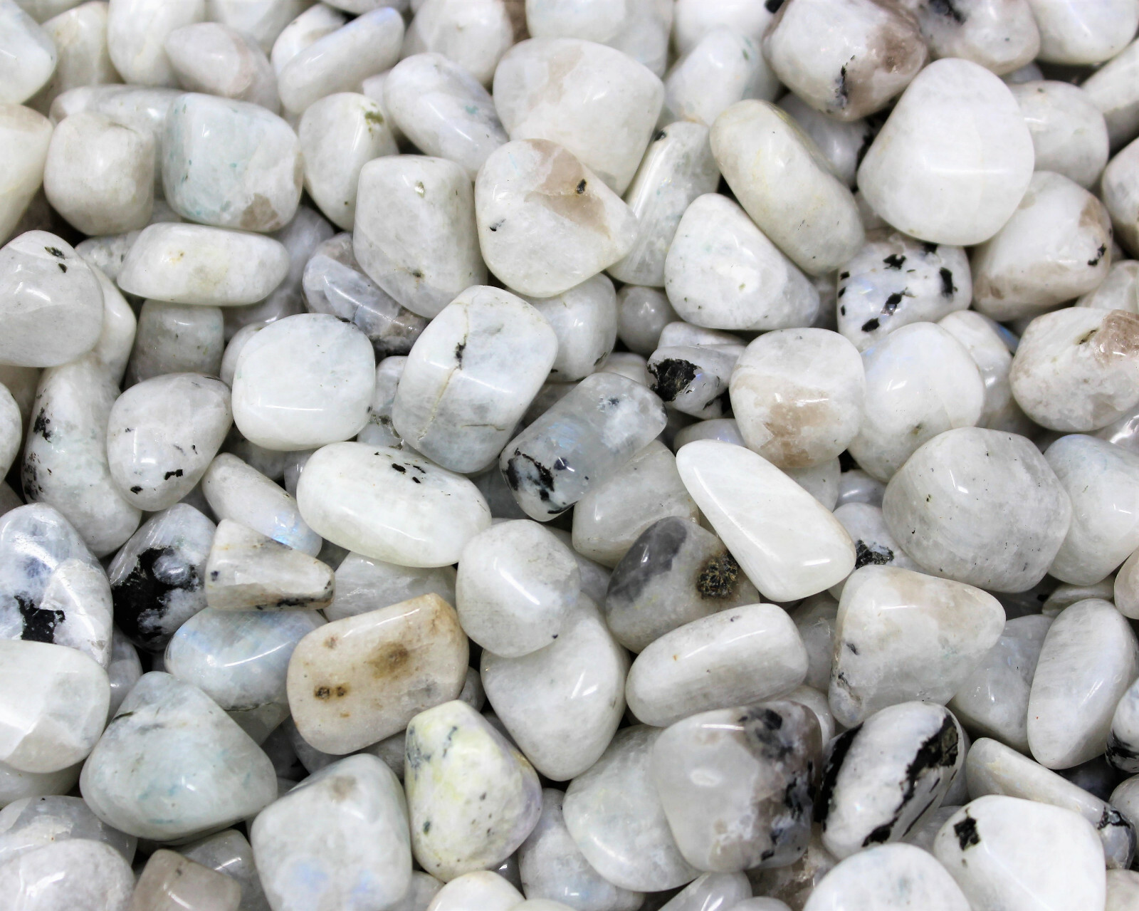 Rainbow Moonstone 5 MEDIUM LARGE Tumbled Stones (Crystal Healing) (0.75″ – 1″)