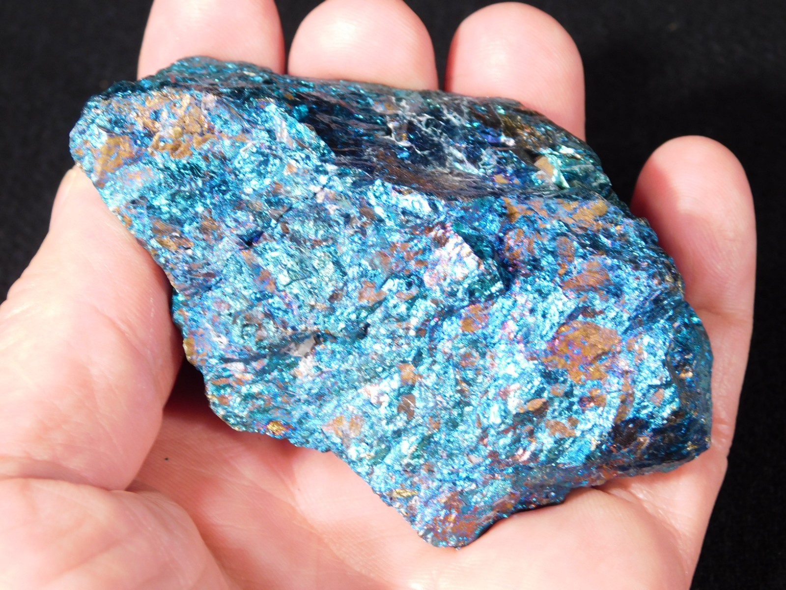 LARGER Bright IRIDESCENT Peacock Copper Chalcopyrite or Peacock Ore Mexico 347gr