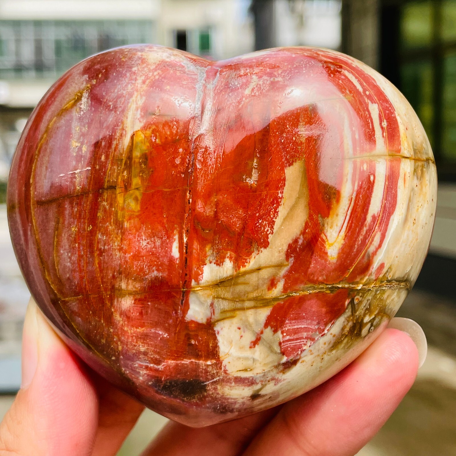 364g Natural Petrified Wood Jade Quartz Crystal Fossil Heart Shape Specimen