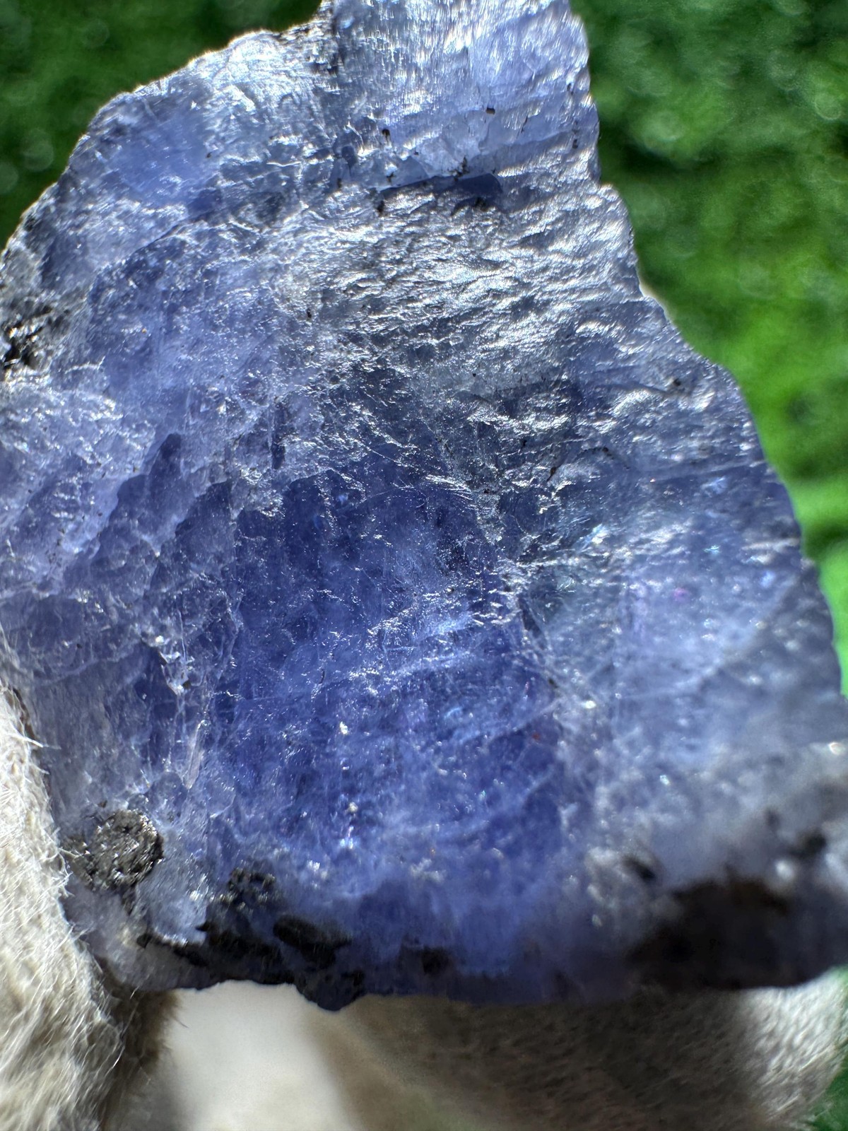 Beautiful TANZANITE Crystal with COLOR CHANGE under yellow/white light / N373
