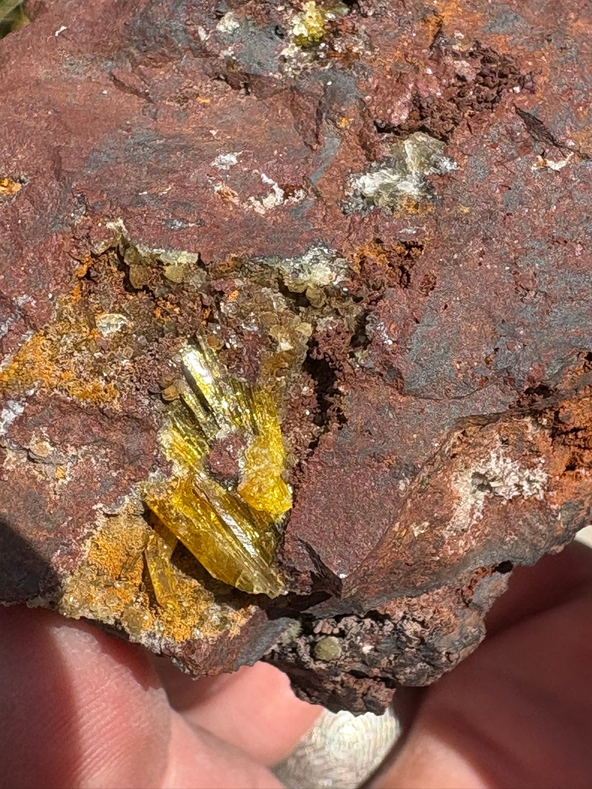 Legrandite crystal spray in matrix, Ojuela mine, Mapimi, Durango, Mexico