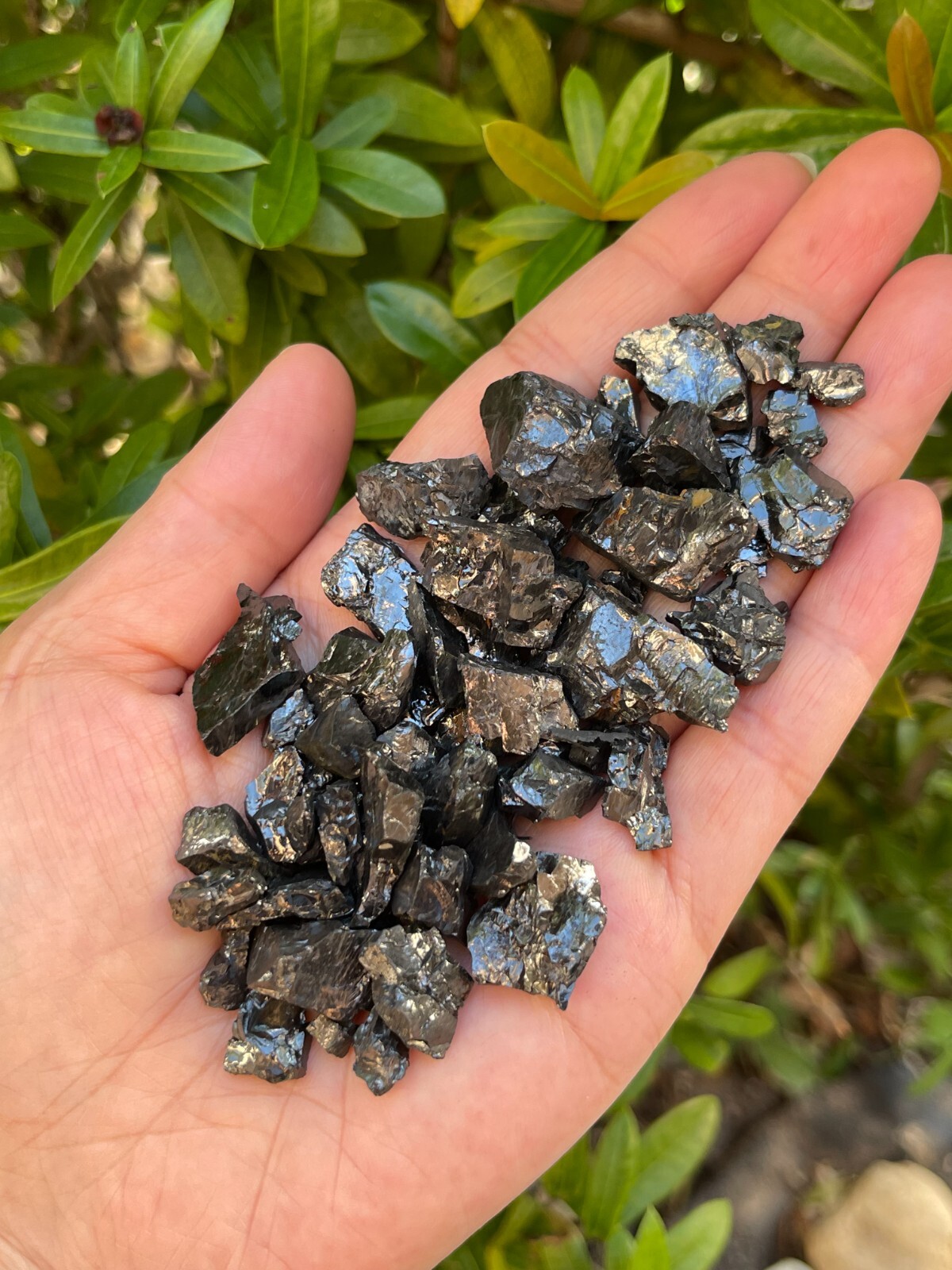 Grade A++ Small Elite Noble Shungite Stone, 0.2-1″ Raw Shungite, Bulk Lot
