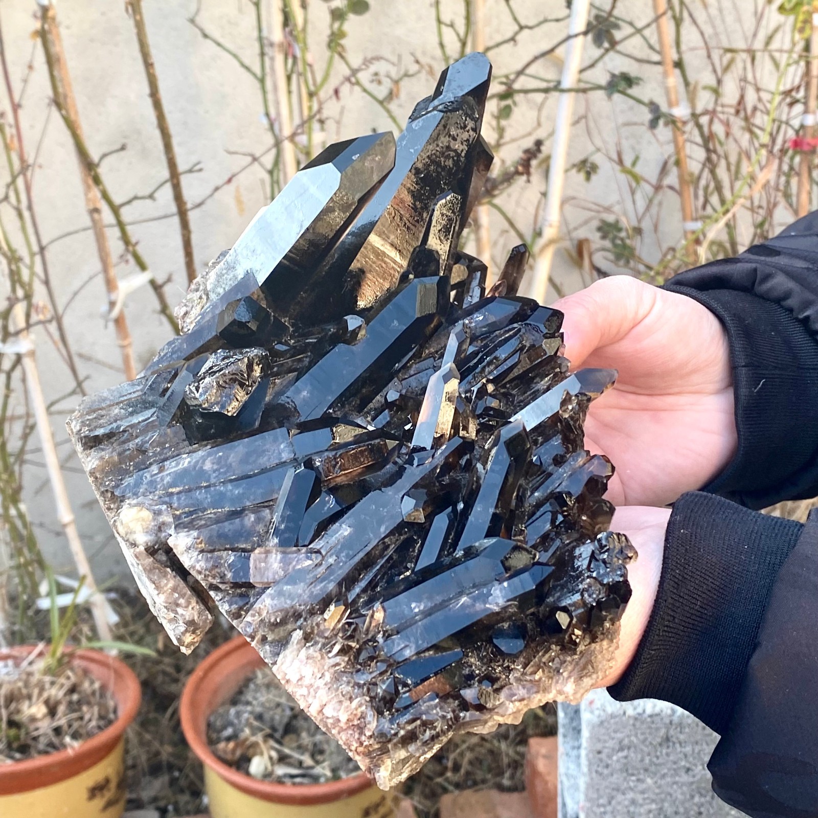 5.25LB Large Natural black Quartz Crystal Cluster Rough Specimen Healing Stone.