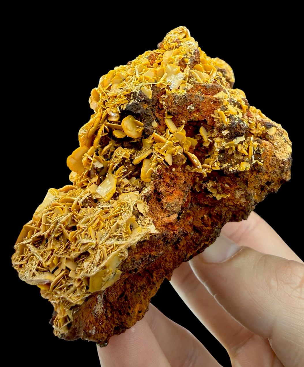Wulfenite Crystals: Stefanie Mine . Bad Bleiberg . Carinthia , Austria 🇦🇹