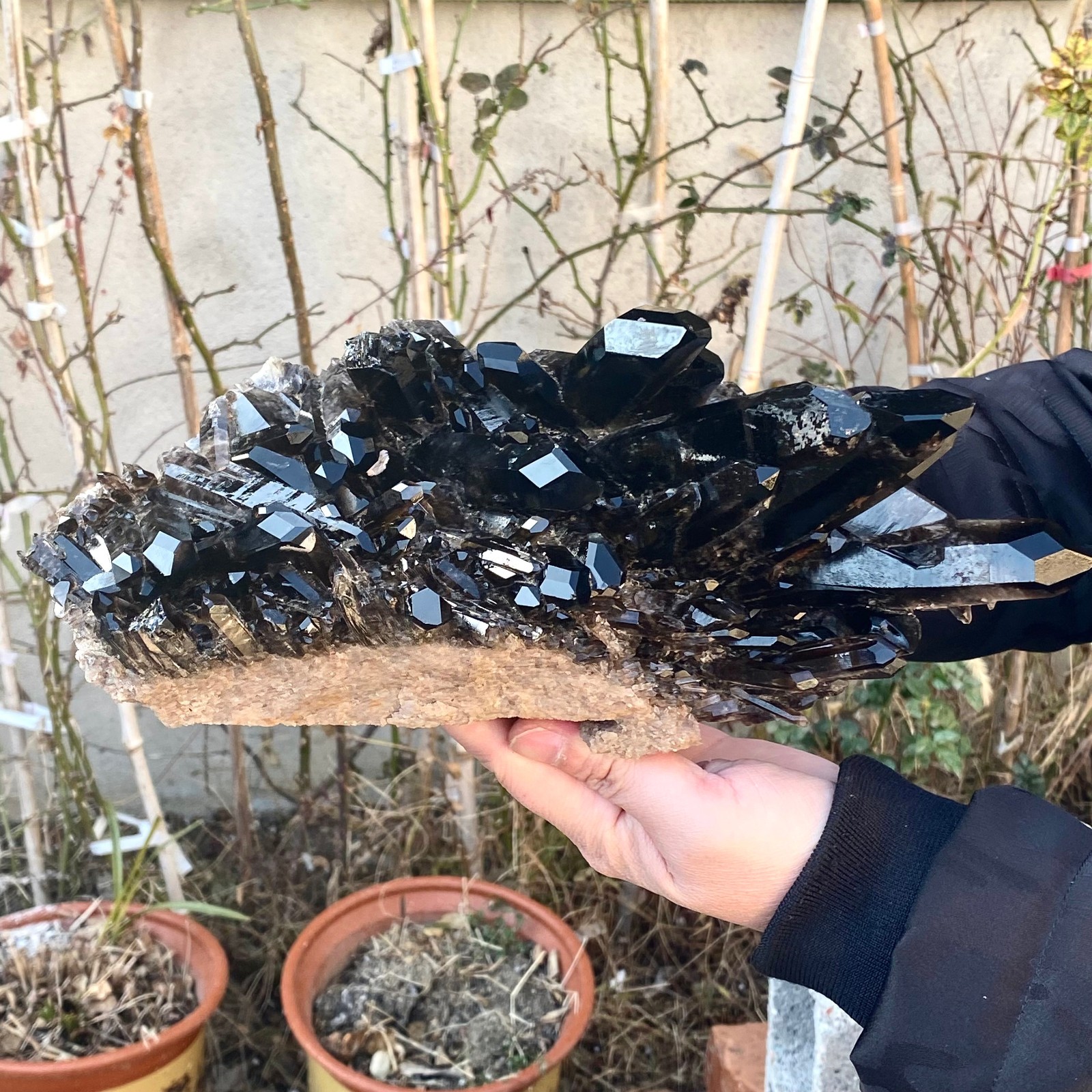 5.25LB Large Natural black Quartz Crystal Cluster Rough Specimen Healing Stone.