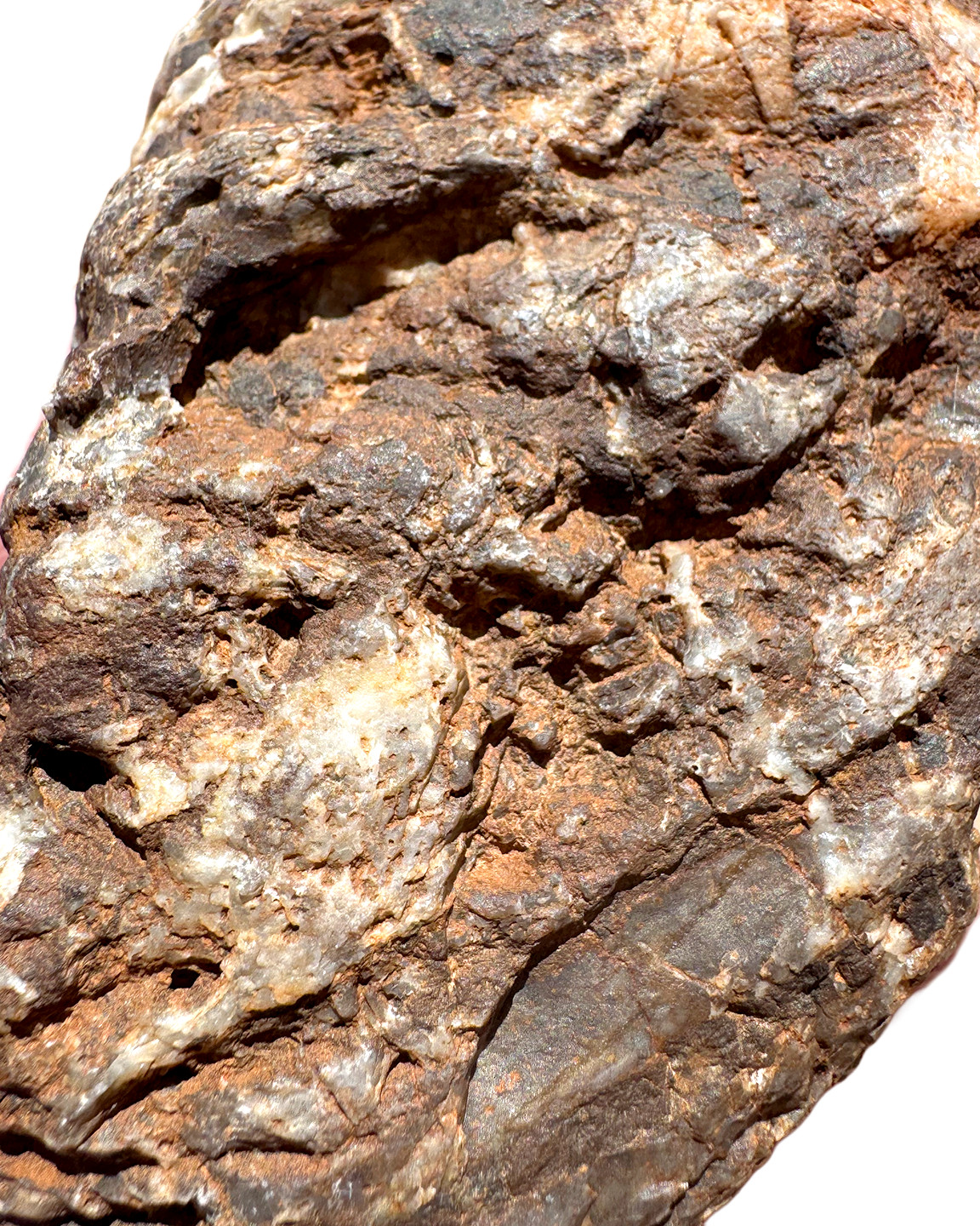13 oz Brecciated Jasper Rock with Quartz Vein Vivid Iron Color Rough