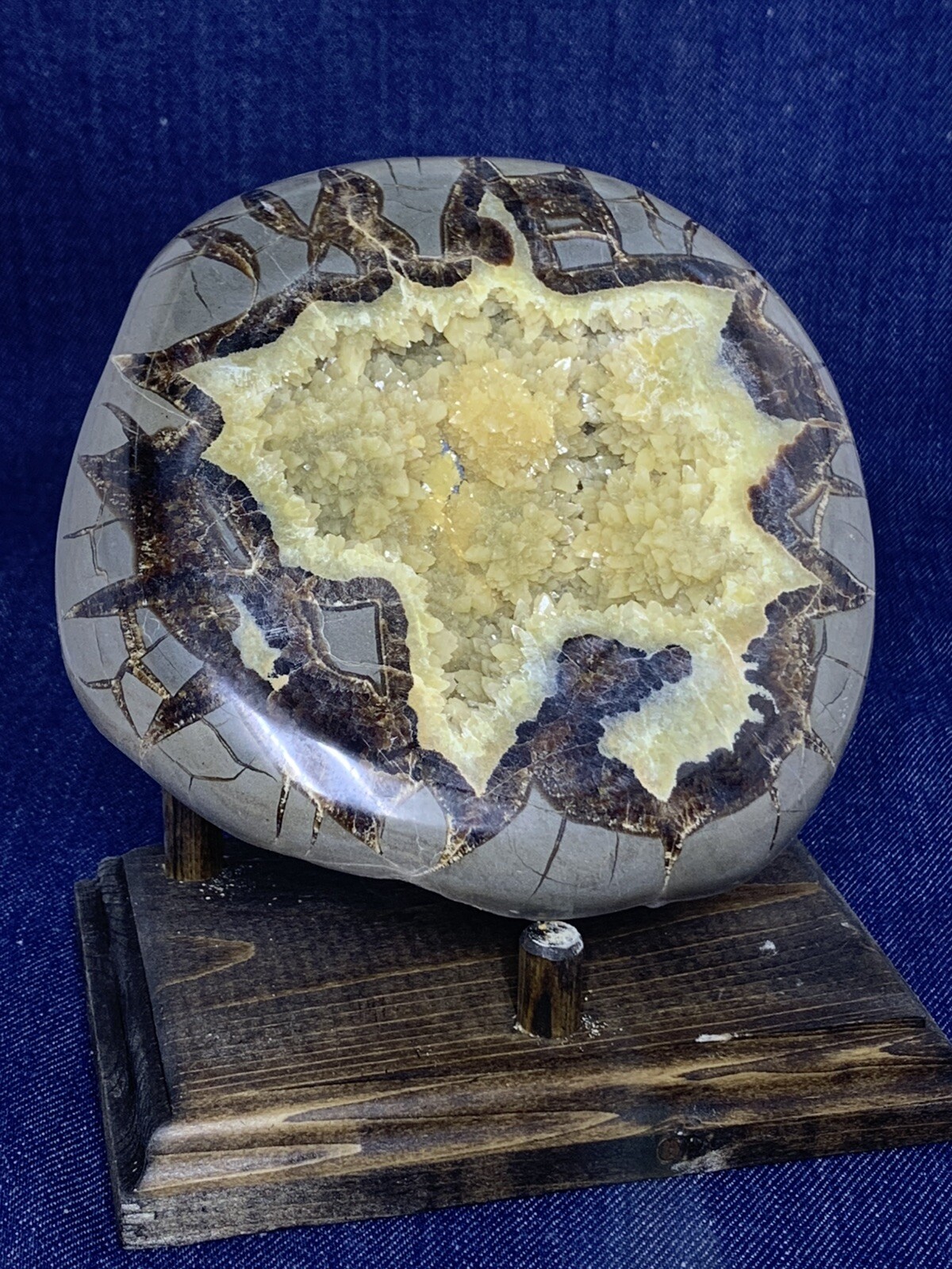 Septarian Nodule Hollow Half ( Utah)with Stand And Description Card
