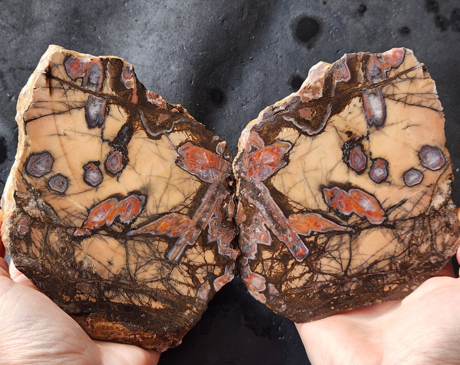3.3 lbs (1.5 kg) Unpolished Agate, Almus Agate, Large Agate Pair, アゲートのペア, العقي