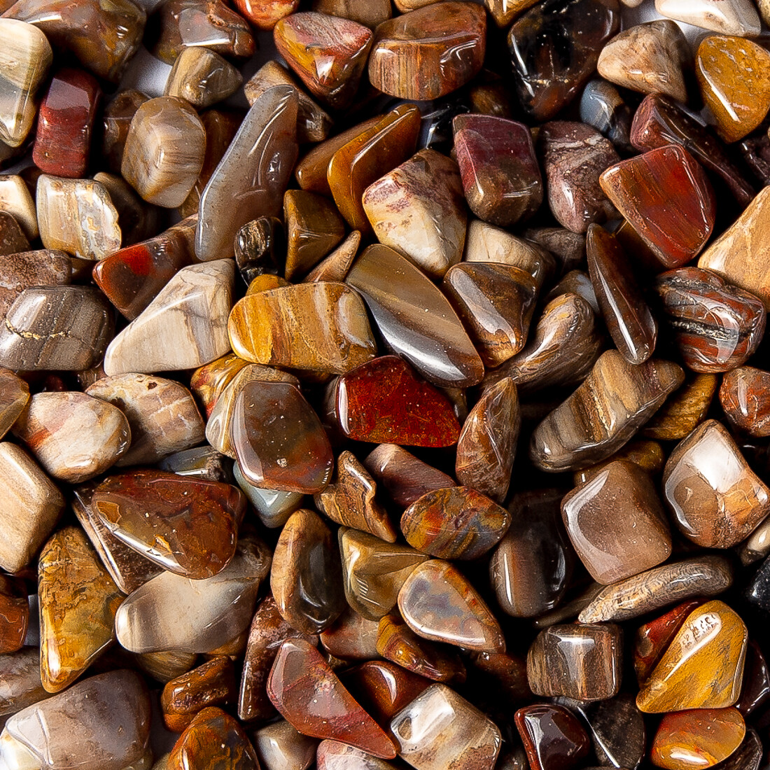 1 lb Tumbled Gemstone Collection Sodalite Picture Jasper Petrified Wood Bulk Gem
