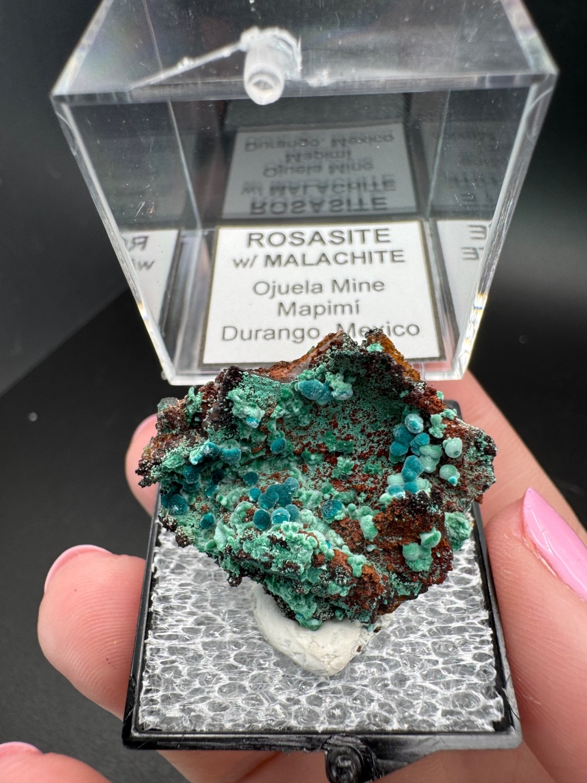 6757 Rosasite and Malachite on Matrix in Perky 8g Ojuela Mine, MX