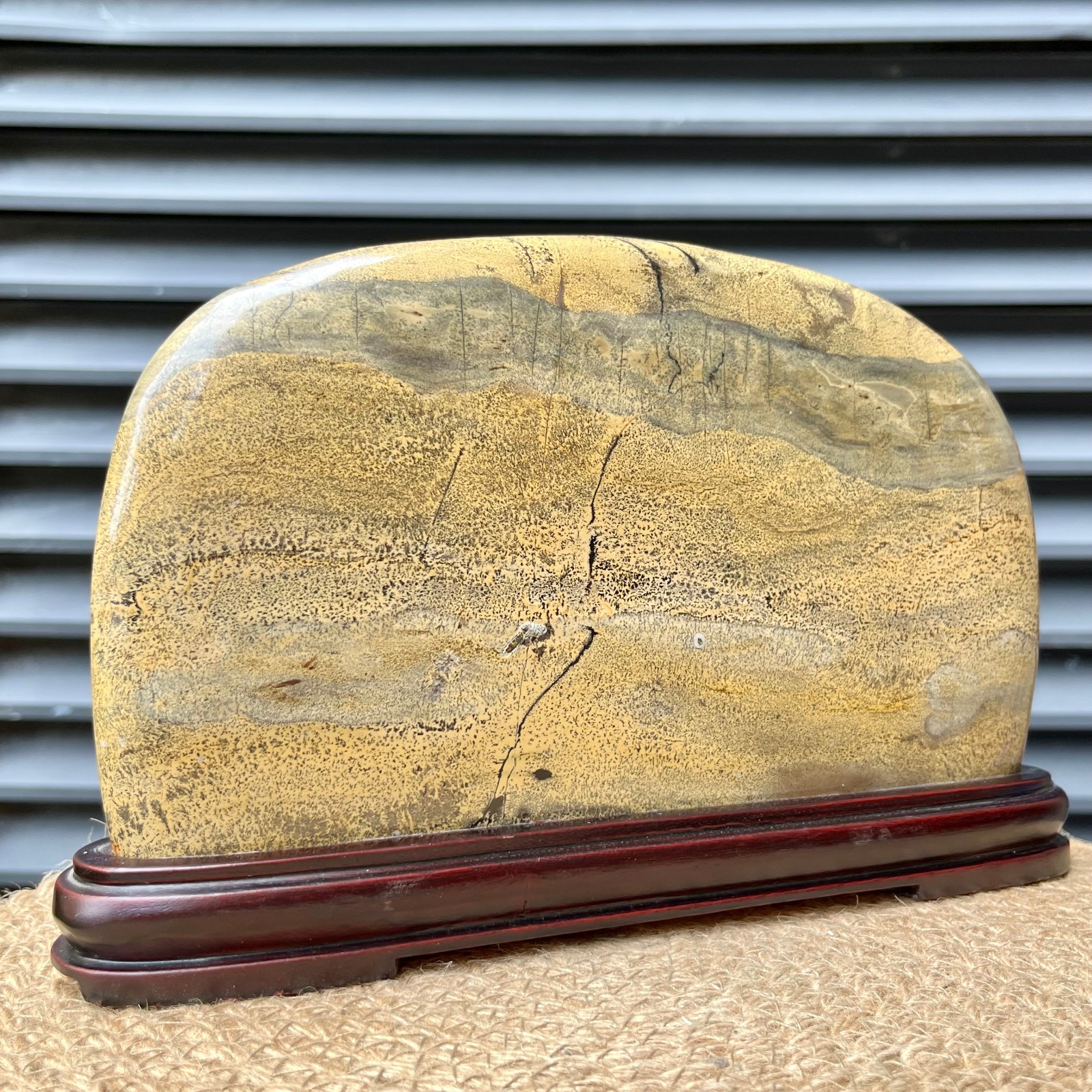 Natural Scenic Stone Display Polished Pattern Art w/ Wood Stand 4.1 lb