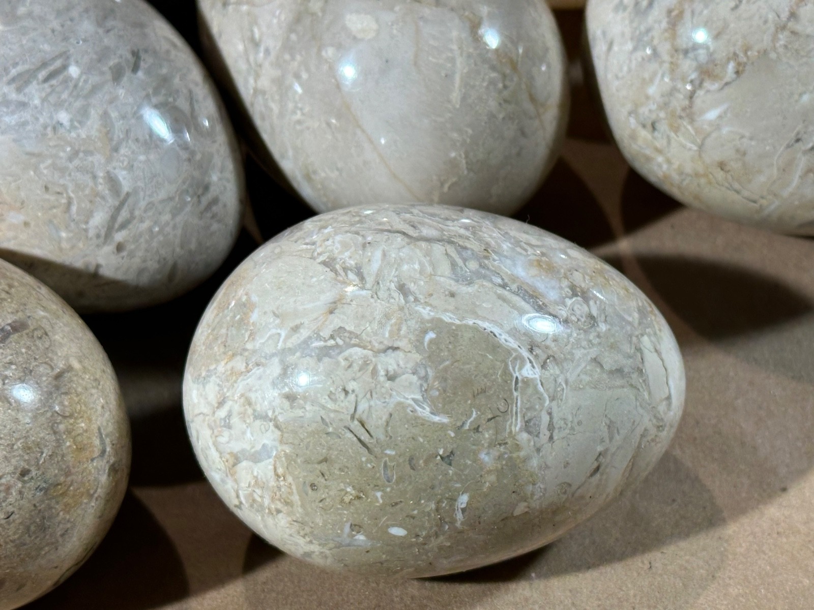 Lot of 10 Fossil Coral / Fossiliferous Limestone Polished Gemstone Eggs 2.75” –