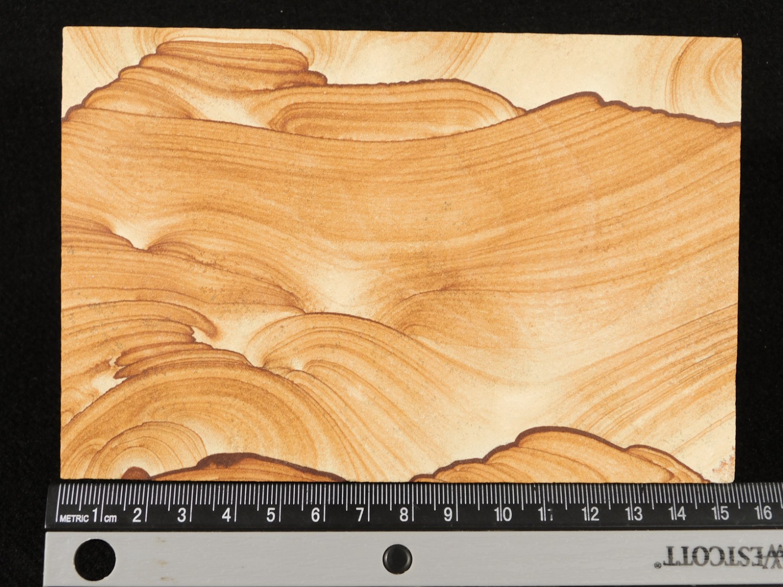 PICTURE Stone or SANDSTONE Slice/Slab with Display Stand Utah 347gr