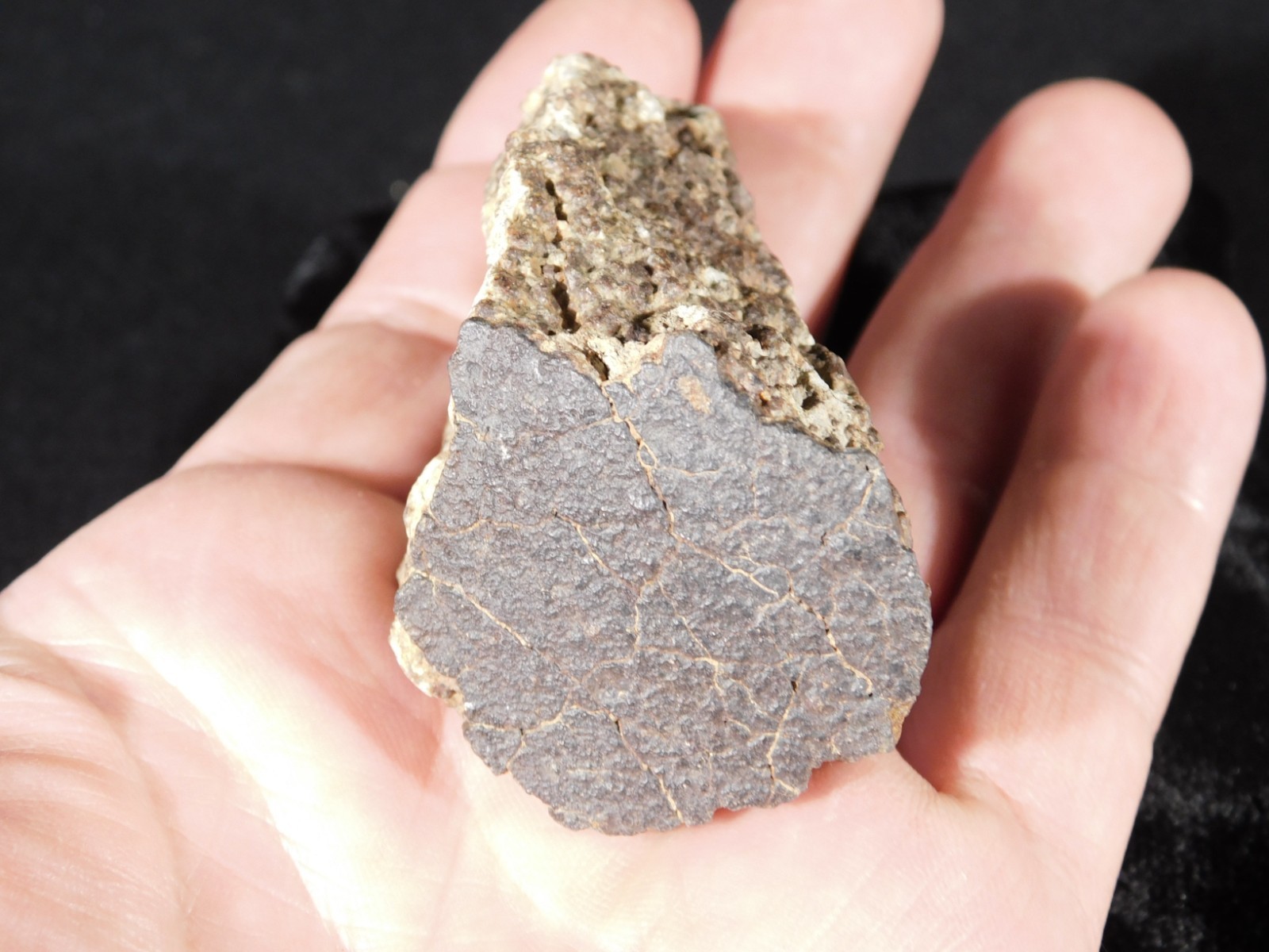 Classified NWA 8245 METEORITE Spots of Dark Fusion Crust! Erfoud, Morocco 136gr