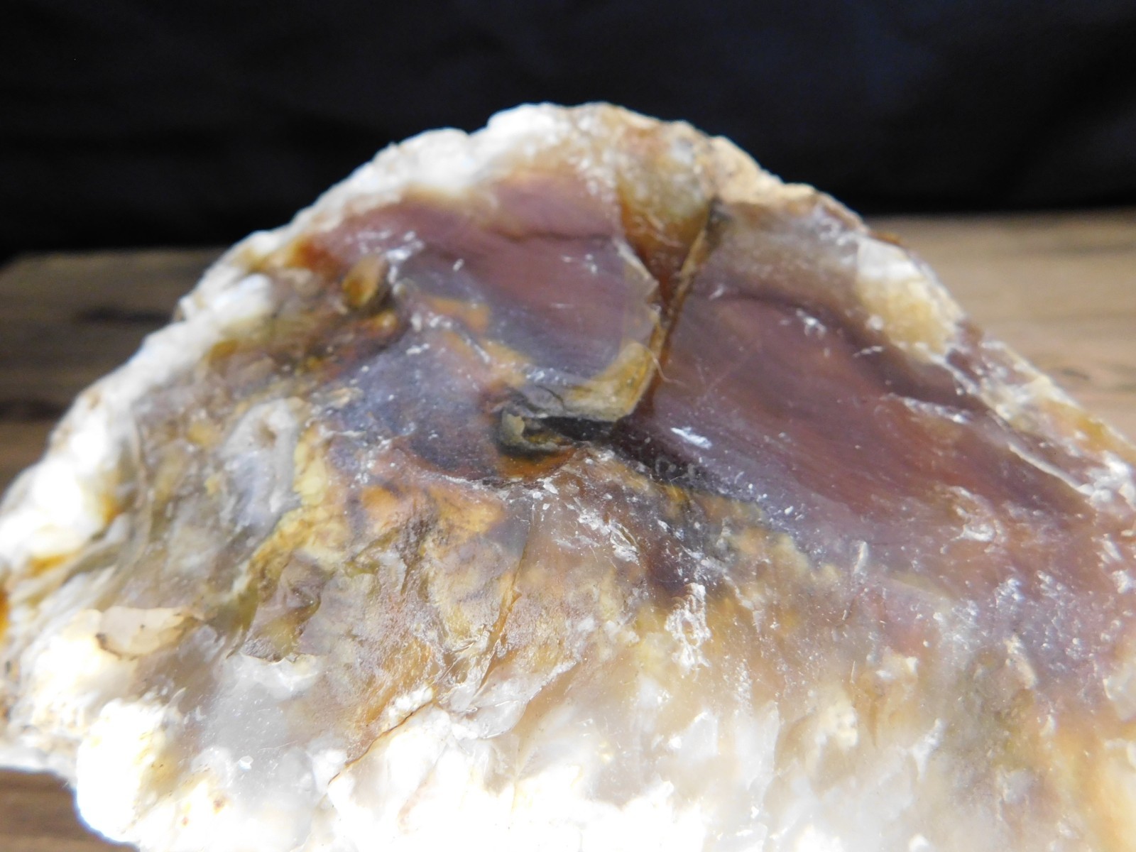Dark Caramel Brown and White Agate 2 lbs. 9oz. Vintage