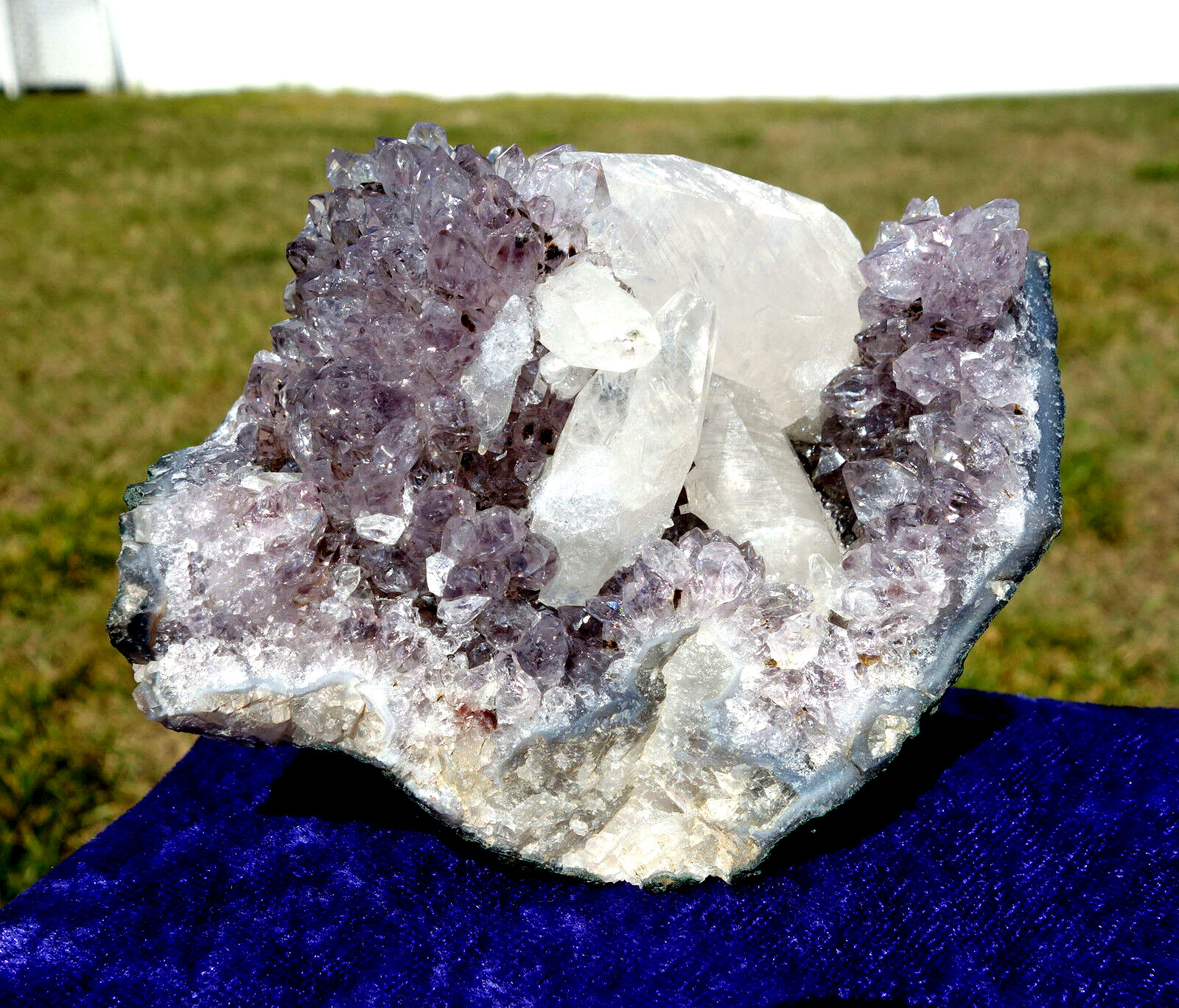 White DOGTOOTH Calcite in AMETHYST Crystal Point Stalactite Quartz Cluster