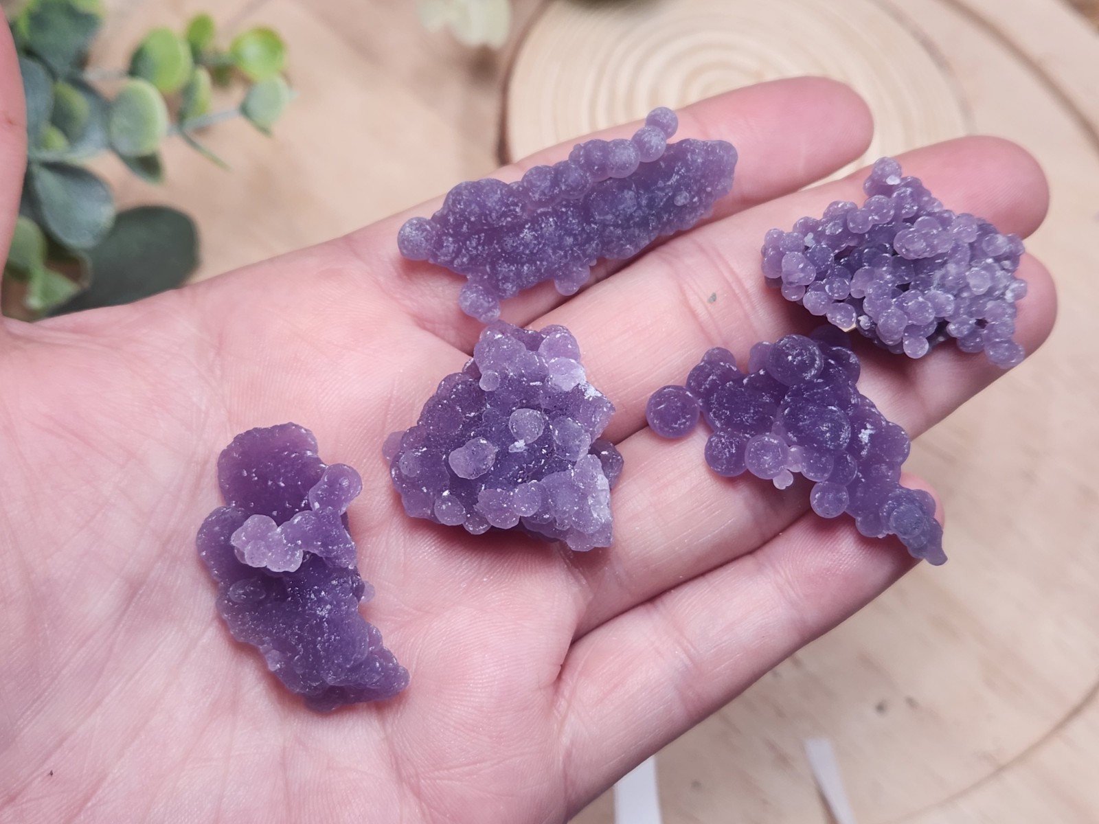 38g Grape Agate Lot West Sulawesi Indonesia Large Botryoidal Grapes 5 Pieces #EL