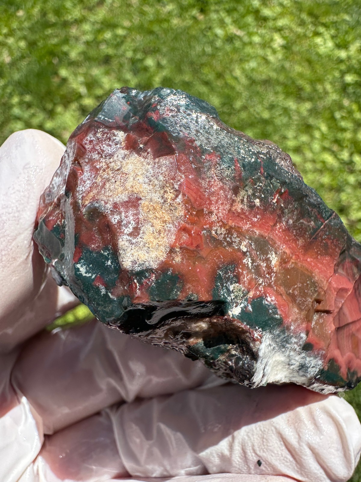 PREMIUM SPECIMEN__RARE Idaho Sunset Jasper / Agate Rough – Lemhi County, Idaho