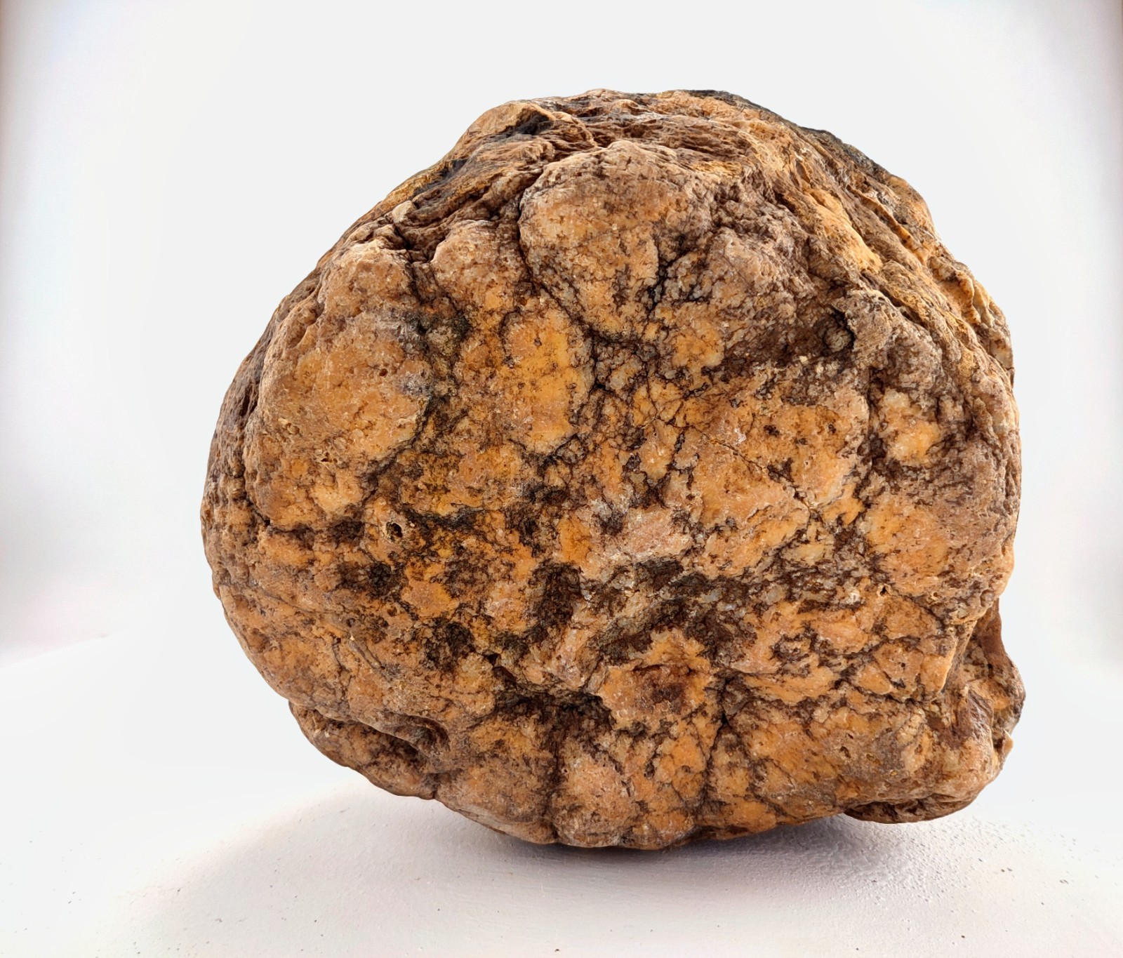 7″ Unopened Kentucky Geode Nodule Natural Quartz Crystal 6.8 LB Dense Specimen