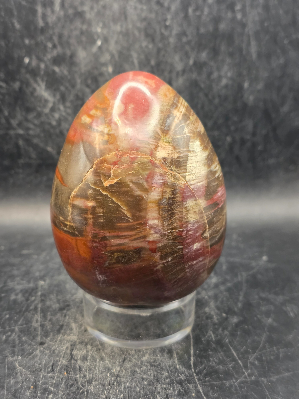 Petrified wood egg! 1.1 pounds, 3.4 inches tall, 2.5 wide