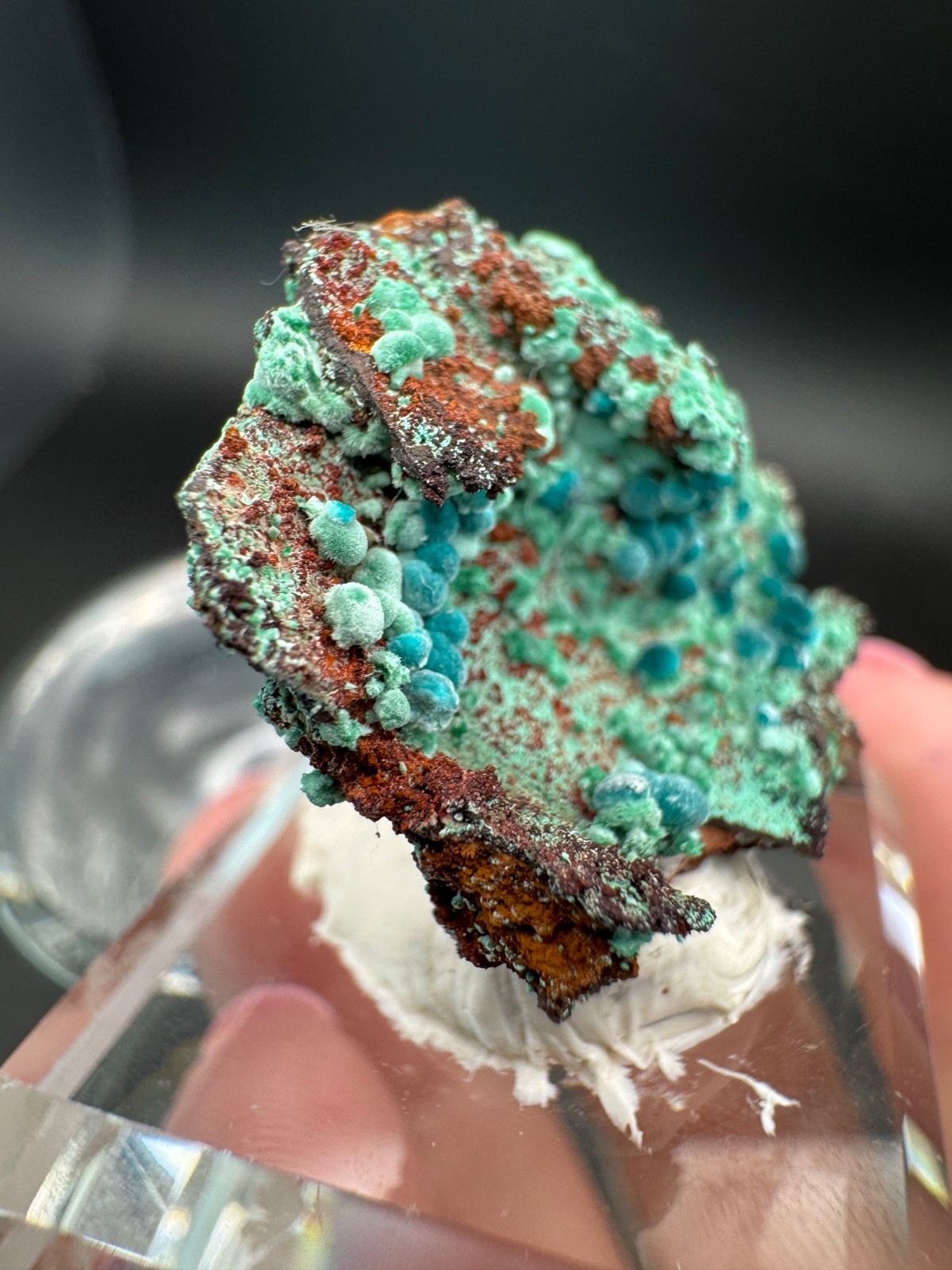 6757 Rosasite and Malachite on Matrix in Perky 8g Ojuela Mine, MX