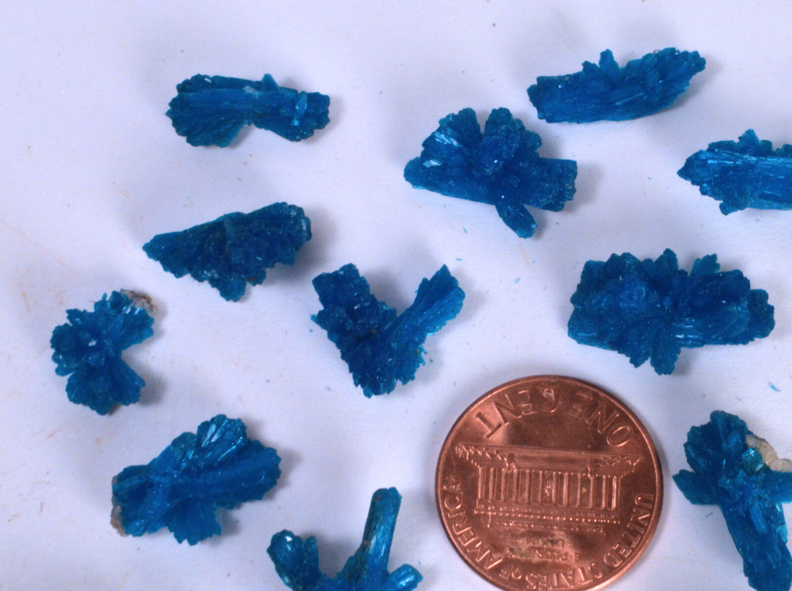 #9080 Cavansite-India–Large “Bowties”/ Unusual shapes [ONE PIECE ONLY]